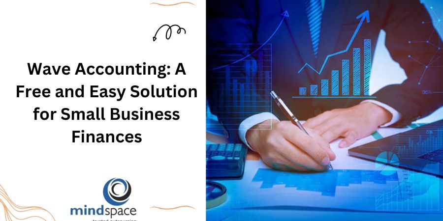 Wave Accounting: A Free and Easy Solution for Small Business Finances